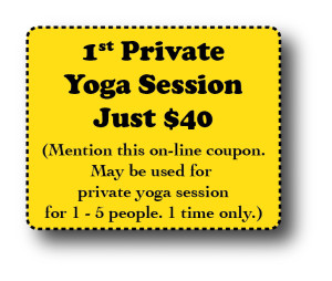 private yoga class - yoga coupon - global yoga center - Rhonda Kantor